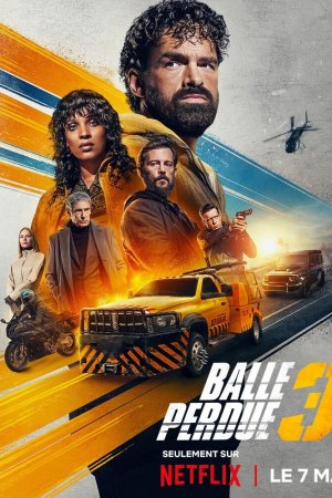 Шальная пуля 3 бесплатно